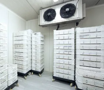 Impianto di refrigerazione