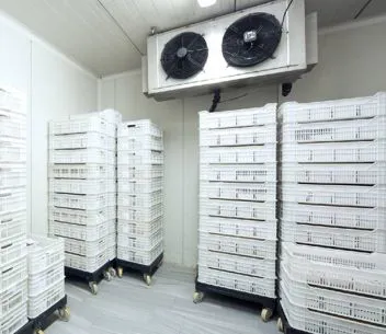 Impianto di refrigerazione