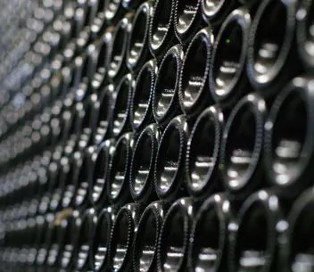 Cantine vinicole